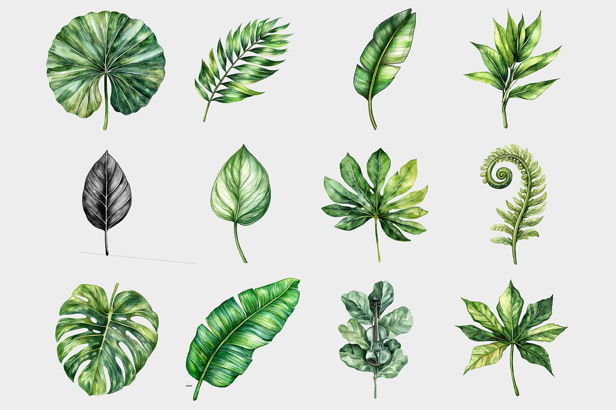 Tropical Leaves Clipart, a Seasonal Illustration by Design Market (Photo 3 of 4)