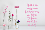 FEATHER SALE, a Handwritten Font by supfonts (Thumbnail 3 of 6)