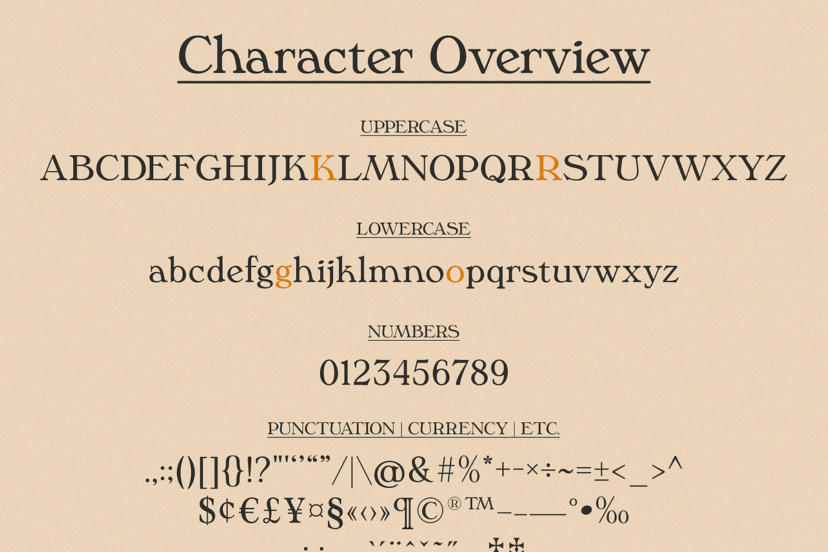 Phaedra // A Retro Serif Typeface, a Serif Font by Megs Lang (Photo 17 of 17)