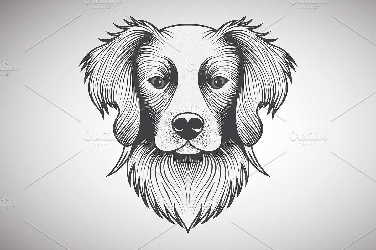 Black and White Dog Portrait, an Animal Illustration by Ghagra (Photo 2 of 4)