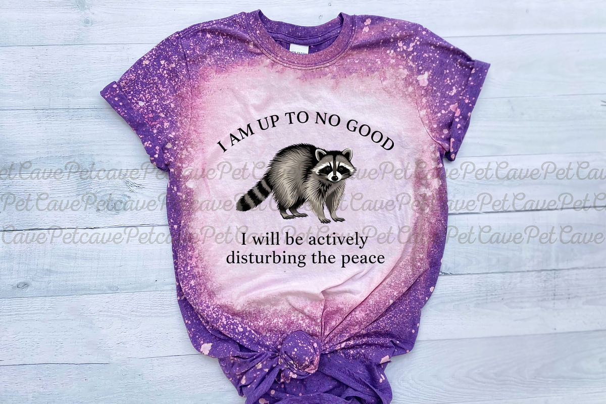 Raccoon Shenanigans Funny PNG Bundle, a Graphic by Pet Cave (Photo 9 of 10)