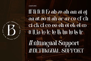 Centibillionaire, a Serif Font by Letterara (Thumbnail 10 of 13)
