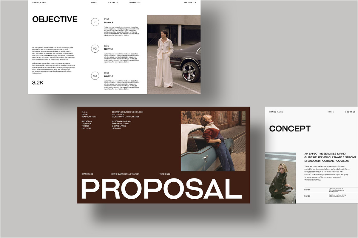 Brand Proposal Presentation Template preview 3