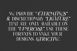 Mylierka - Serif Font 11 Fonts