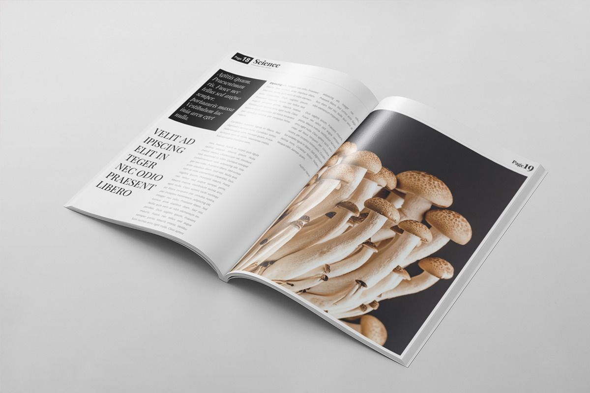 Magazine Template 45, a Magazine Template by pmvch (Photo 14 of 15)