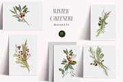 Winter Christmas Greenery Collection, a Decorative Illustration by Grace Noboa Illustrations (Thumbnail 2 of 8)