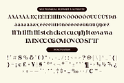 Kesiq – Modern Elegant Serif Display, a Serif Font by roomspace creative lab (Thumbnail 12 of 12)