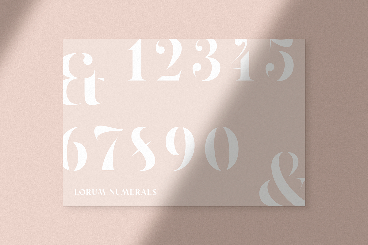 Lerum, a Serif Font by Larin Type Co. (Photo 12 of 14)