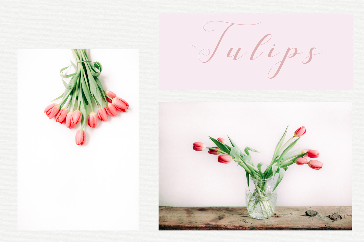 Tulips stock photo series, a Nature Photo by Nellaino (Photo 3 of 6)