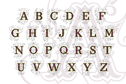 Ana, a Symbol Font by LetterPalette (Thumbnail 4 of 7)