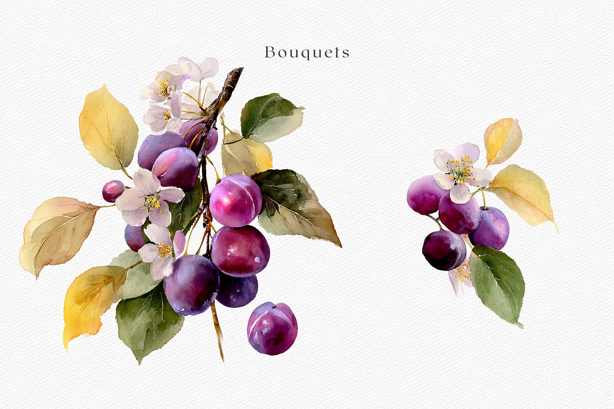 Watercolor Plum Bouquet Clipart, a Decorative Illustration by ThaismotaCreativeCo (Photo 4 of 12)