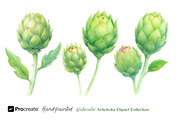Hand-Painted Artichoke Clipart, a Decorative Illustration by crafty (Thumbnail 3 of 6)