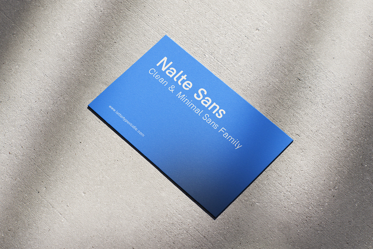 Nalte Sans Family | Intro 60% OFF, a Sans Serif Font by Lettertype Studio (Photo 15 of 15)
