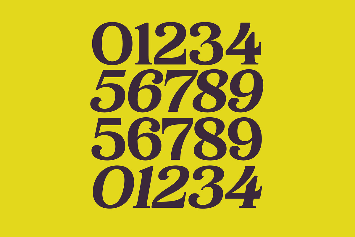 Bikers Groovy Retro Serif Font, a Serif Font by timelesstype.co (Photo 10 of 15)