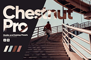 Chestnut Pro Presets for Lightroom, a Preset Add-On by Hubzway (Thumbnail 1 of 5)