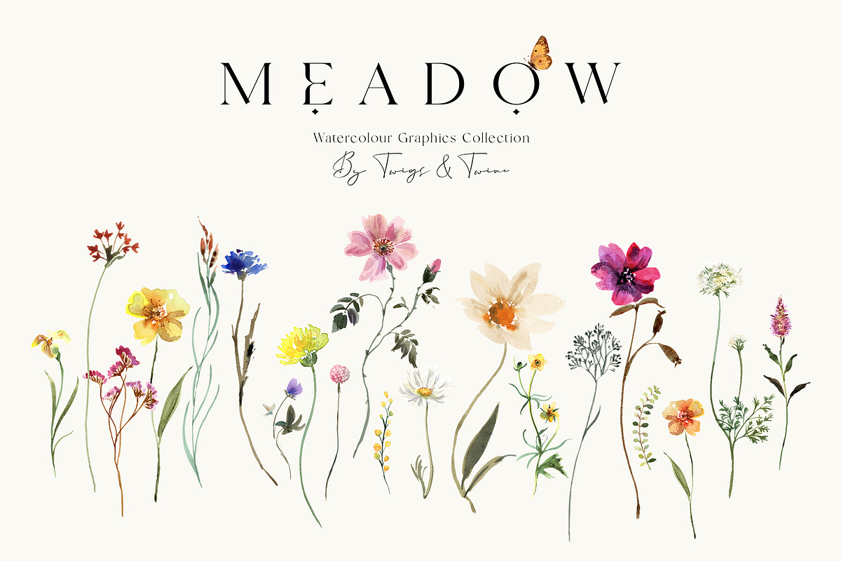 Meadow Wildflower Graphics, an Illustration by Twigs and Twine (Photo 1 of 14)