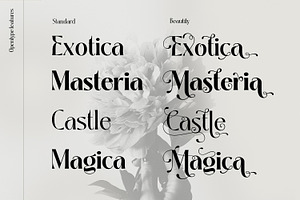 Kathy Style - Elegant Beauty Serif