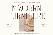 Seraneo Modern Display Typeface, a Serif Font by Letterena Studios (Thumbnail 2 of 15)