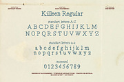 Killeen Font Family, a Serif Font by nadispasibenko (Thumbnail 9 of 12)