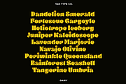 TAN - DAISY, a Serif Font by TanType (Thumbnail 10 of 14)