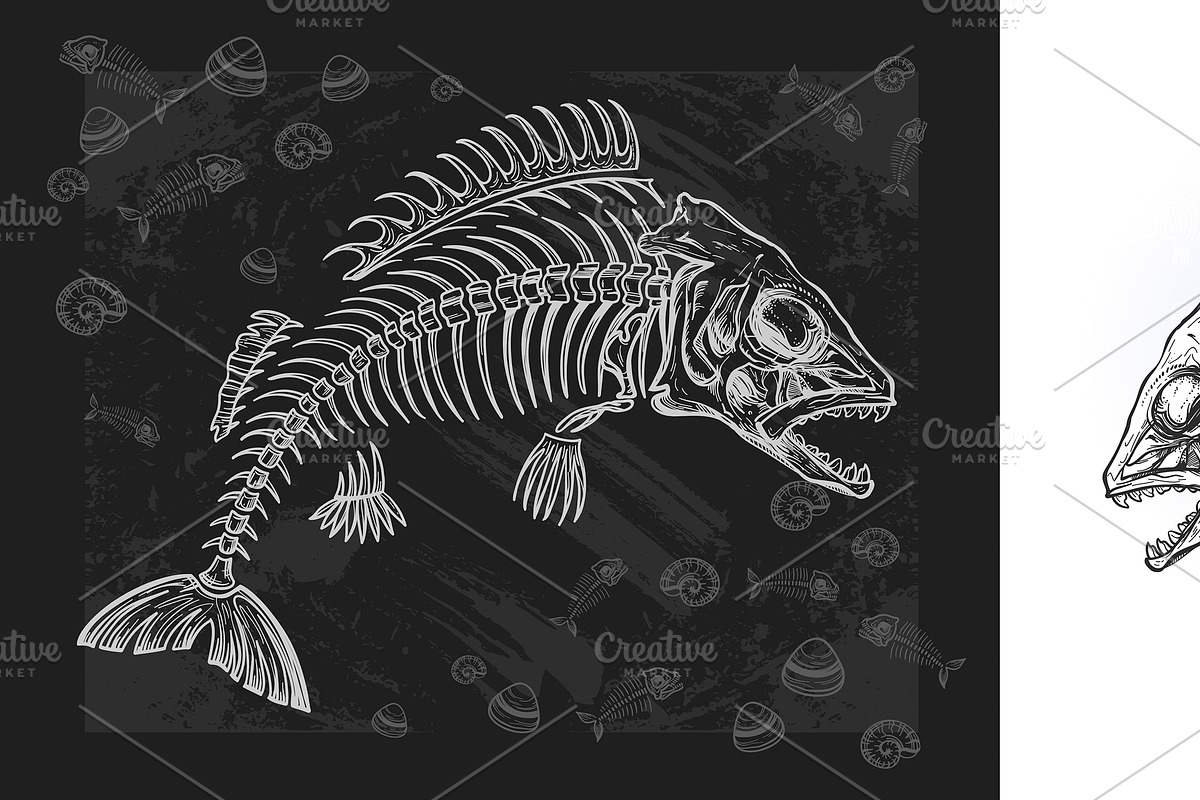 Fish Bones | Vector, a Food Illustration by Red Spruce's Vector Shop (Photo 2 of 2)