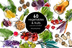 60 Vegetabiles and Fruits.