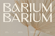 Barium - Luxury Elegant Beauty Sans, a Sans Serif Font by Typia Nesia (Thumbnail 1 of 11)