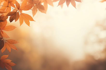 Earthy Autumn Leaves Backdrop, a Background Photo by Iconogenic