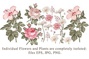 Set Seamless Flowers Rose Hibiscus, a Pattern Graphic by Vintage (Thumbnail 3 of 10)