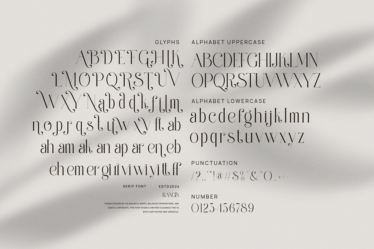 Rangin Modern Serif Font, a Serif Font by Perfectype (Photo 8 of 8)