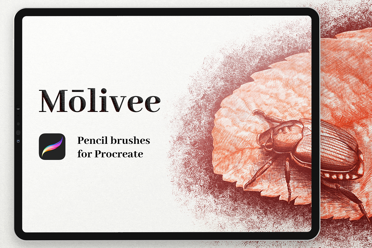 Molivee Pencil Brushes for Procreate, a Brush Add-On by Jinro (Photo 1 of 16)