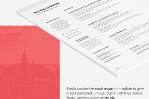 Resume Template Michewa