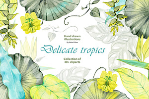 Delicate Tropics Watercolor Clipart