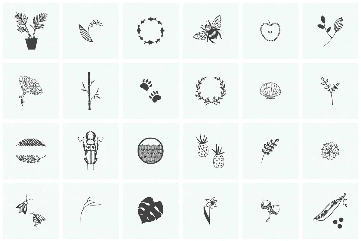 150 Hand Drawn Elements -Nature, an Animal Illustration by Michael Rayback Design (Photo 3 of 22)