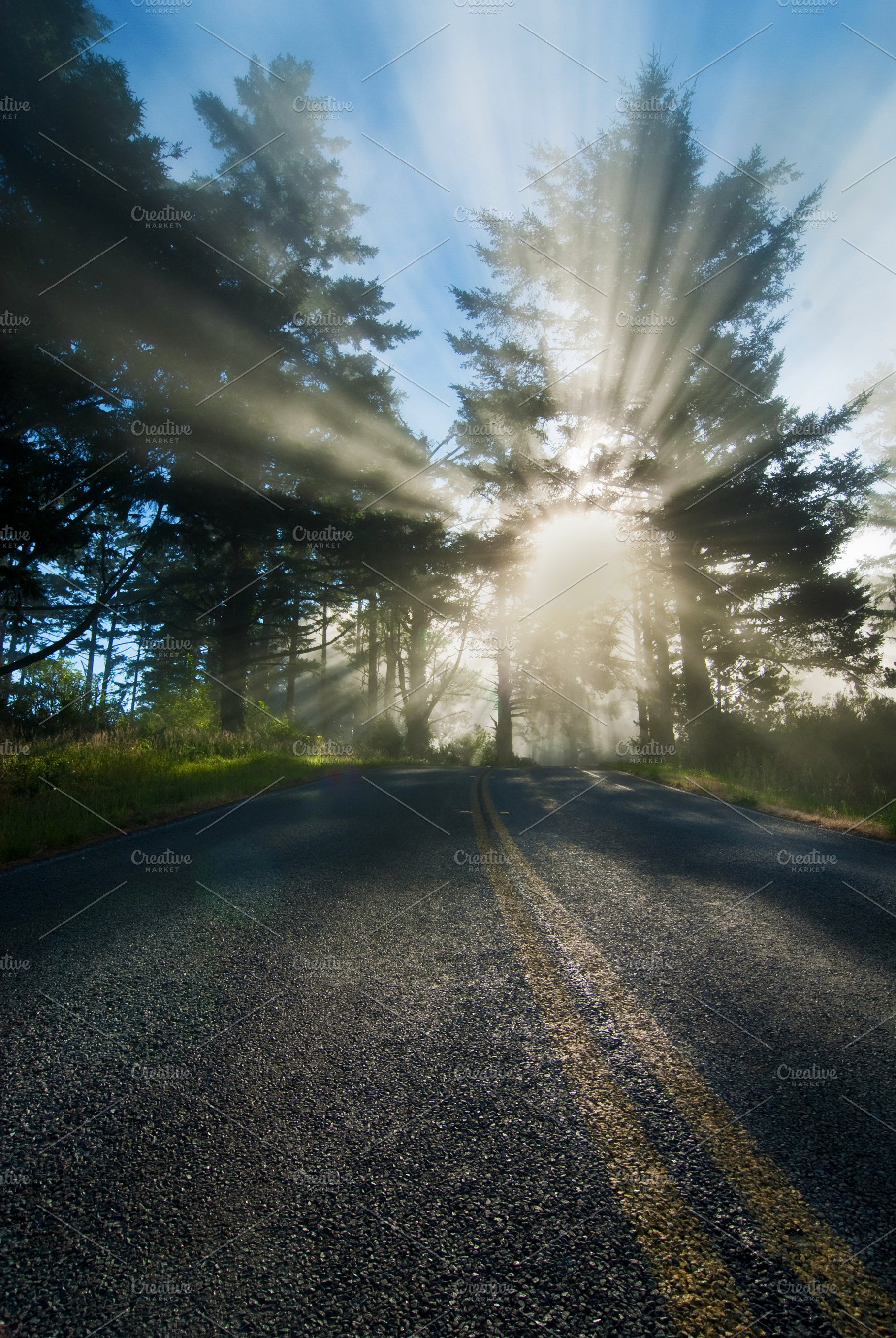 Point reyes headlands road stock photo containing point and reyes, a Nature Photo by Always Wanderlust