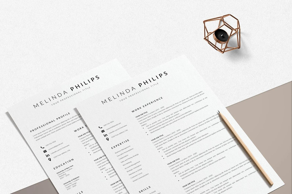 Professional Resume Template Word, a Resume Template by LucaTheme (Photo 6 of 10)