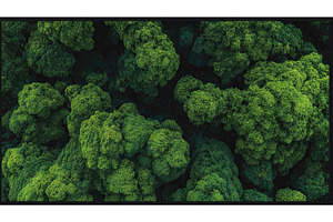 View from above of a vibrant green, a Nature Photo by ZinetroN