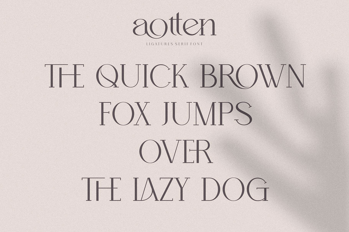 Aotten, a Serif Font by Penatic Studio (Photo 10 of 10)