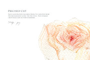 Watercolor Floral Clipart Set, an Object Graphic by NiKO (Thumbnail 3 of 4)