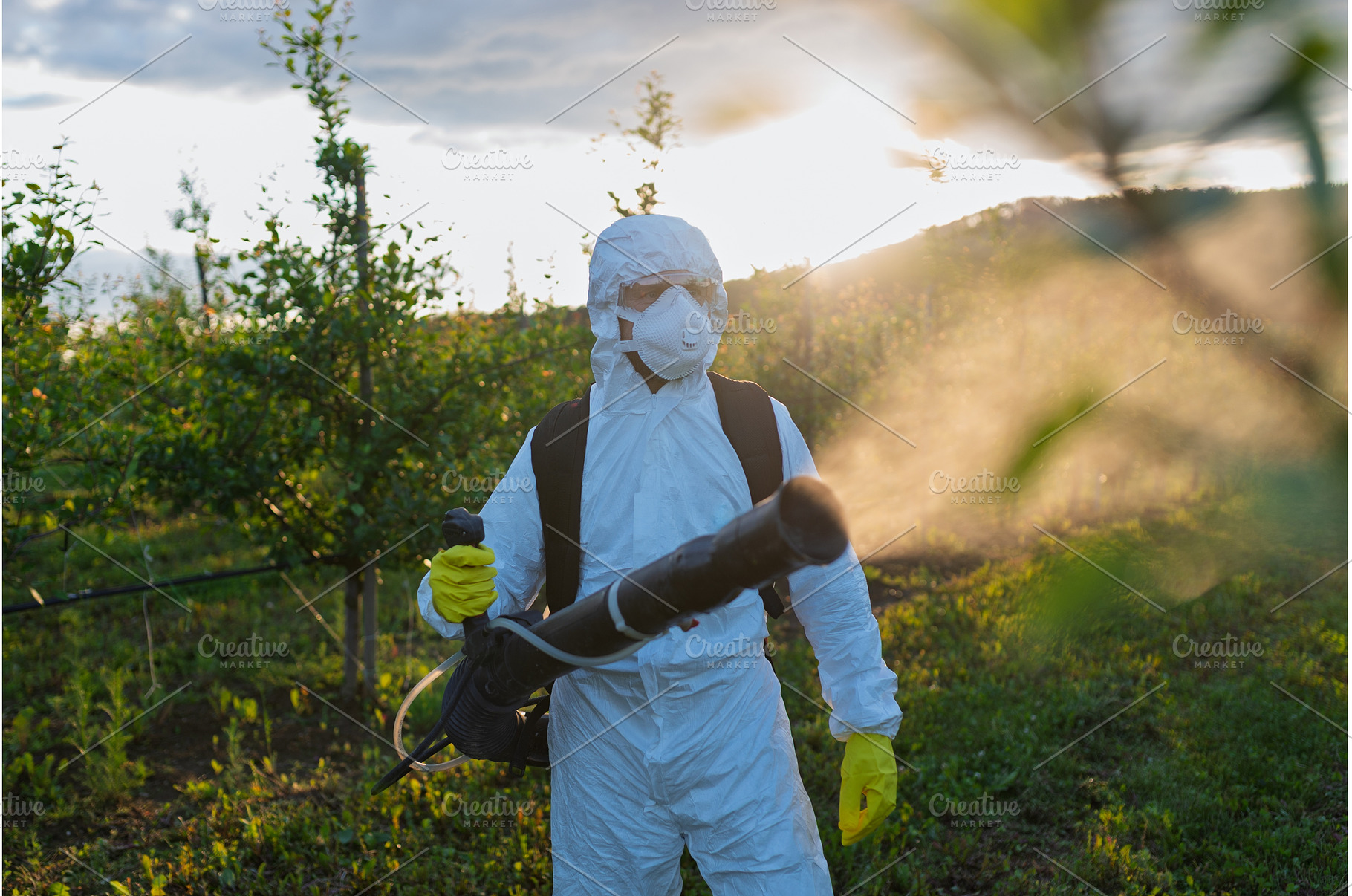 Farmer spraying pesticide in orchard, a Person Photo by HalfPoint