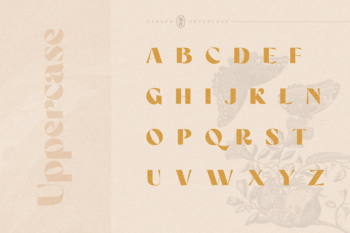 Darker Sans Serif + Extras, a Sans Serif Font by 1871 Project (Photo 3 of 12)