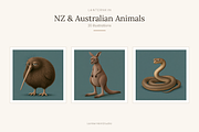 NZ & Australian Animals, Set 20, an Animal Illustration by LanternkinStudio (Thumbnail 1 of 12)