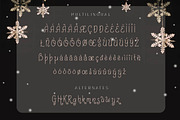 Shayfinton Decorative Monoline Fonts, a Serif Font by Patria Ari (P4tcreativa) (Thumbnail 8 of 9)