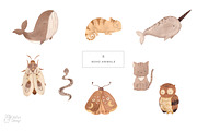 CELESTIAL nursery. Boho collection, an Animal Illustration by OlliArtDesign (Thumbnail 2 of 6)