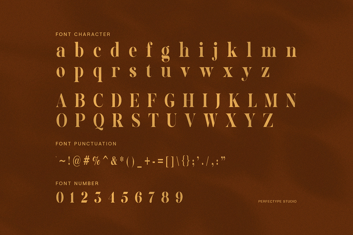 Geliga Elegant Serif Font, a Serif Font by Perfectype (Photo 7 of 8)