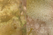 Urban Inked Backgrounds, a Texture Graphic by TheUrbanLine (Thumbnail 7 of 10)