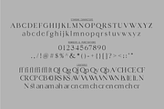 Channe, a Serif Font by BaronWNM (Thumbnail 7 of 9)