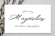 Magnolias Font, a Script Font by The Besotted Co (Thumbnail 1 of 4)