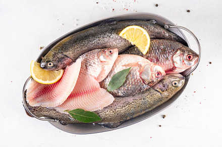Raw fish cooking background, a Food & Drink Photo by Rimma