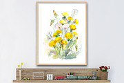 SALE! Watercolor dandelions, a Decorative Illustration by MaryAmi (Thumbnail 2 of 3)